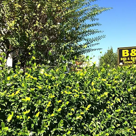 Bed & Breakfast Nonna Anita