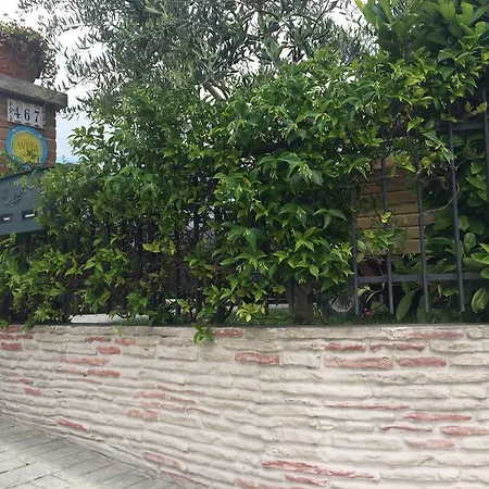 Nonna Anita Bed & Breakfast *