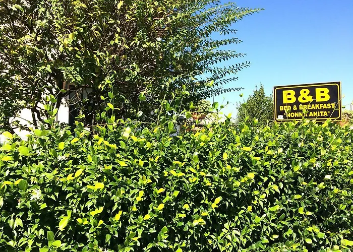 Bed & Breakfast Nonna Anita